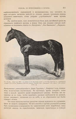 Урусов С.П. Книга о лошади. В 2 тт. СПб.: Деятель, [1911]-[1912]. 